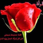 8 مارس - اليوم العالمي للمرأة